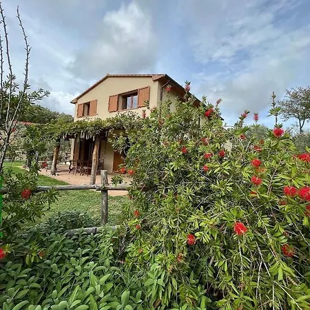 Agriturismo Il Sorbo Appartamento Lavanda Roccastrada Exterior photo