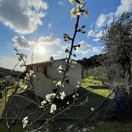 Agriturismo Il Sorbo Appartamento Lavanda Roccastrada Exterior photo