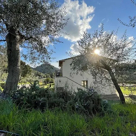 Agriturismo Il Sorbo Appartamento Lavanda Roccastrada Exterior photo