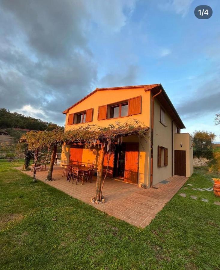 Il Sorbo Lavanda Roccastrada