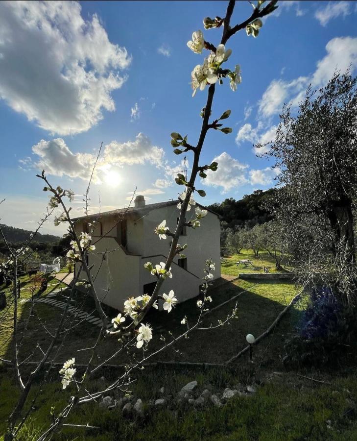 Il Sorbo Lavanda Apartment Roccastrada