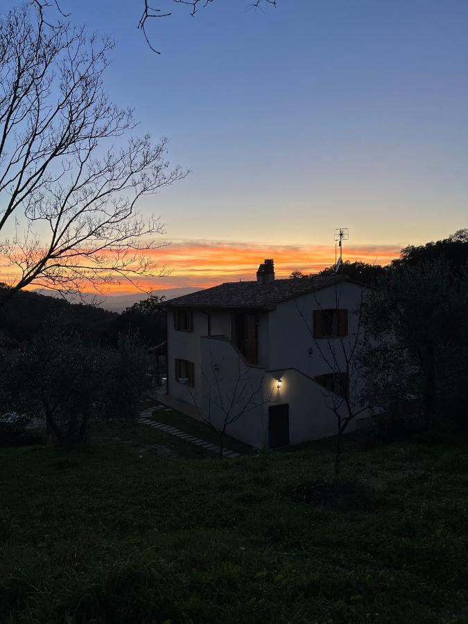 Il Sorbo Lavanda