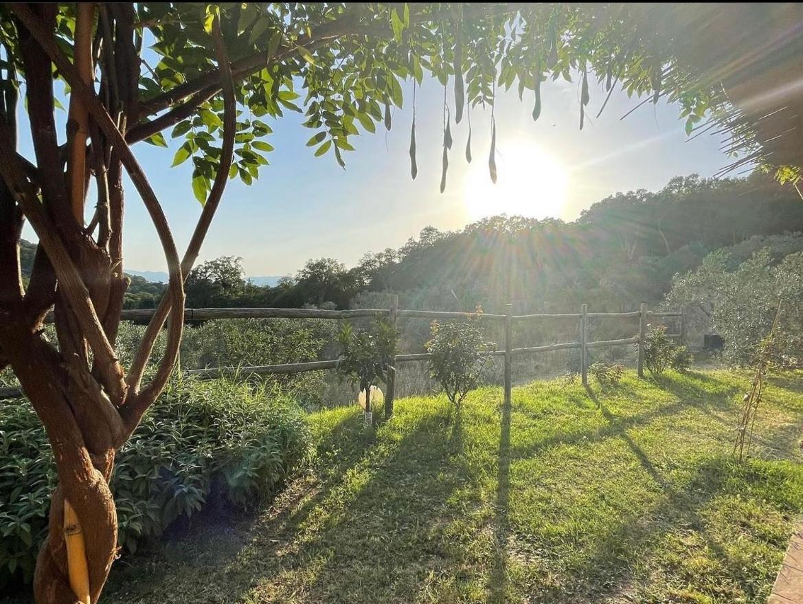 Il Sorbo Lavanda Appartement Roccastrada