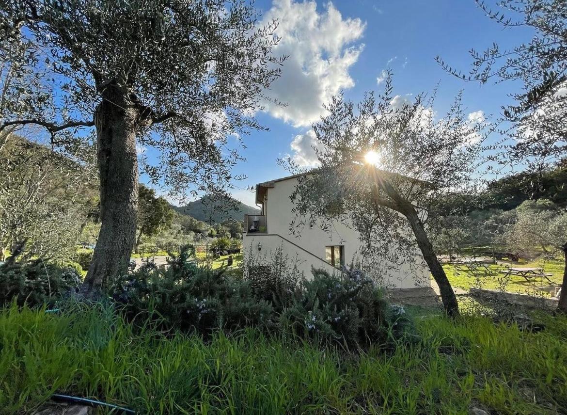 Il Sorbo Lavanda Apartment