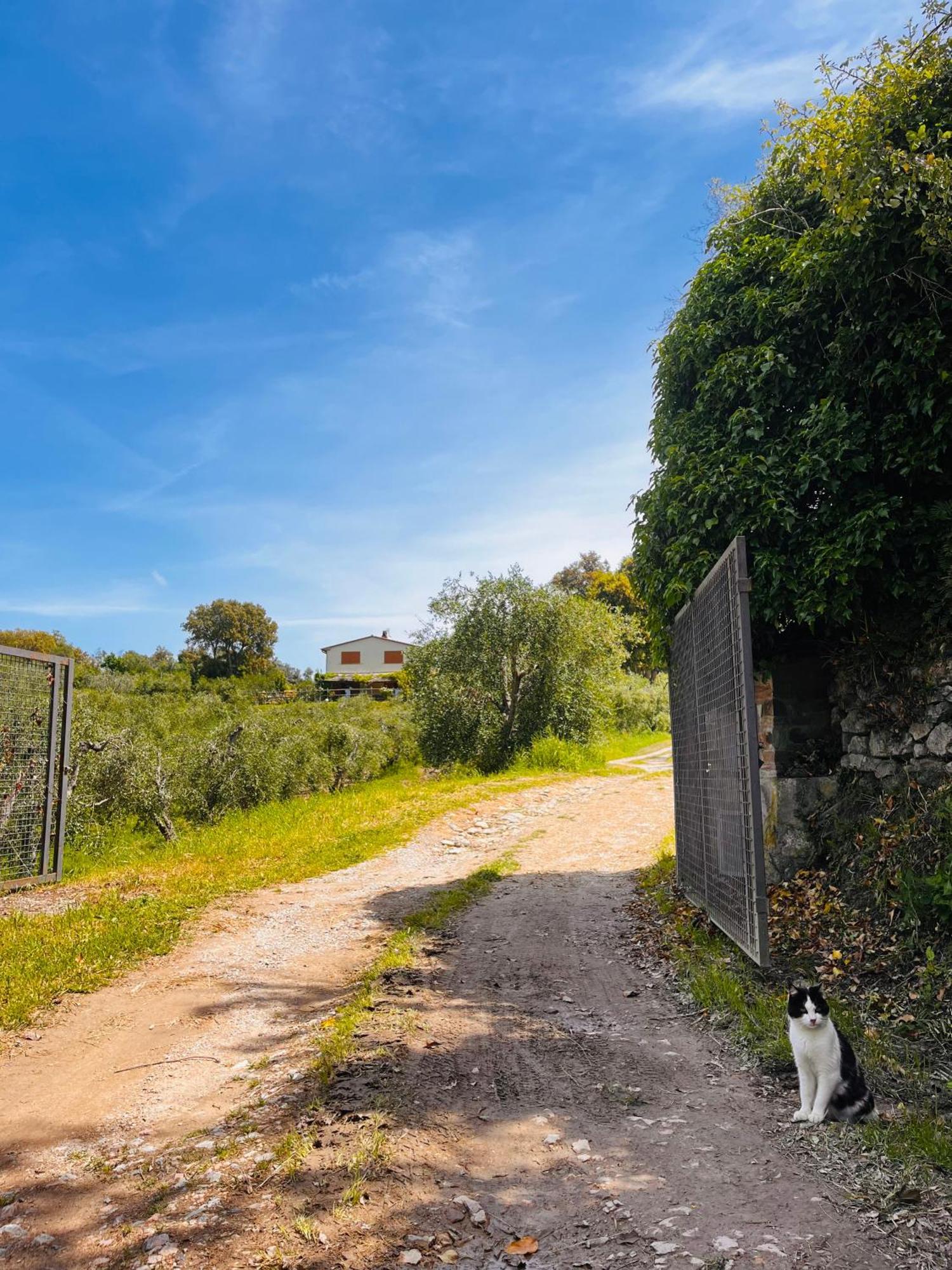 Appartement Il Sorbo Lavanda