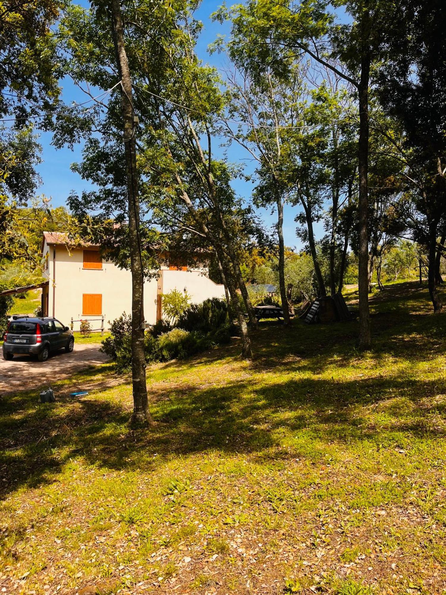Apartment Il Sorbo Lavanda Roccastrada